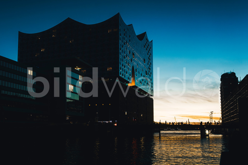 Elbphilharmonie Hamburg | BILDWALD - eine Auswahl an Bildern von Thomas Perrotton zum bestellen und genießen. Alle Bilder von Thomas Perrotton - Alle Bilder mit einer SONY Kamera gemacht - SONY TAMRON SIGMA PHOTOSHOP LIGHTROOM BILDWALD Online kaufen Bilderwald Wandbilder - Realisiert mit Pictrs.com