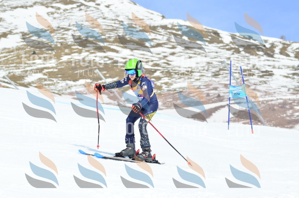 _ELE2334 | holidayphoto