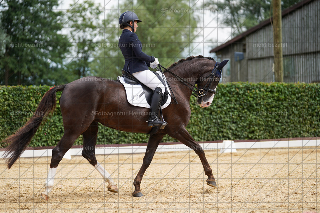 20240630-FAH02196 | Turnierbilder Schwabmünchen, Dressurbilder, Springreitturnier, Reitsportbilder, Turnierfotografen Bayern, Turnierfotograf