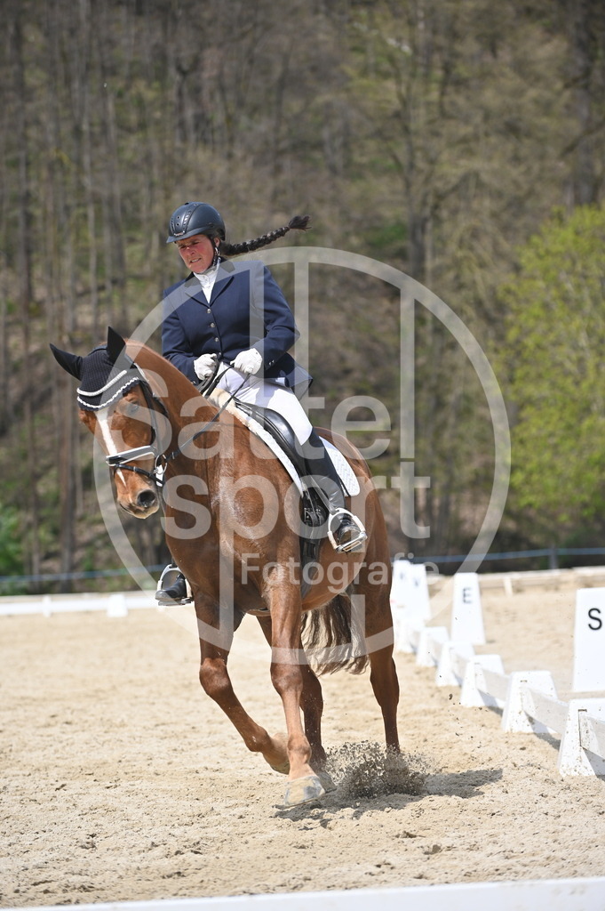 DSC_2947 | sattelsport - Realisiert mit Pictrs.com