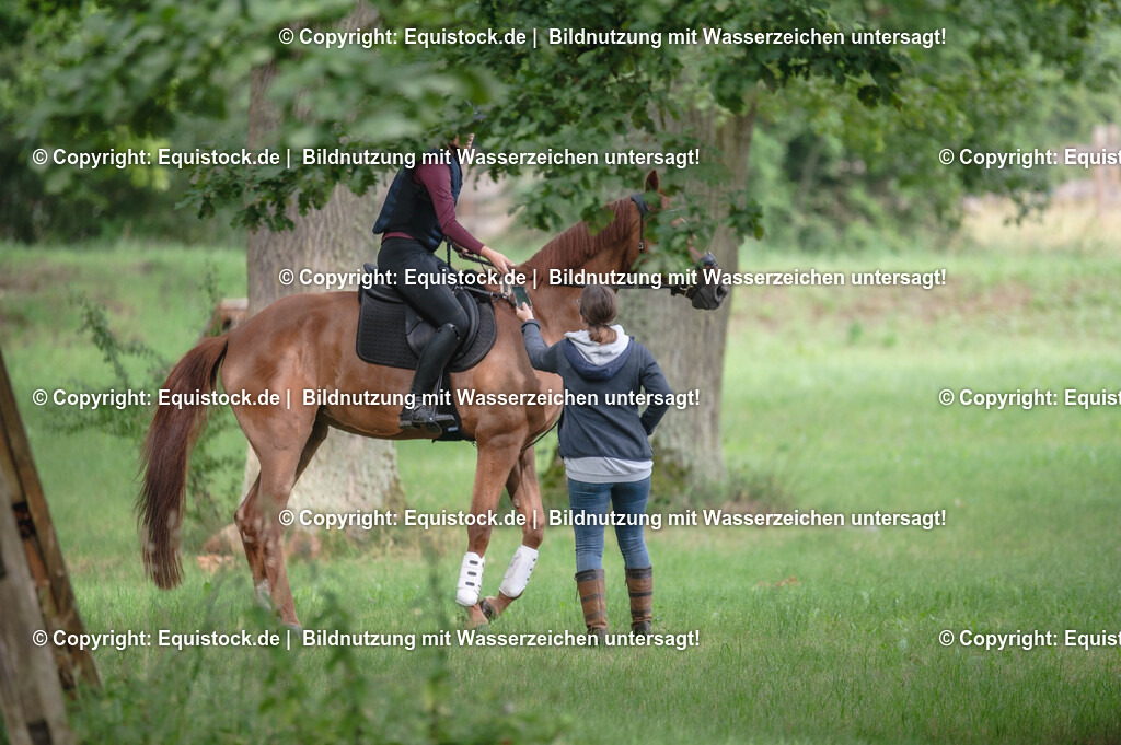 20250726_Vielseitigkeitslehrgang-Marbach_0004 | Foto: Thomas Hartig