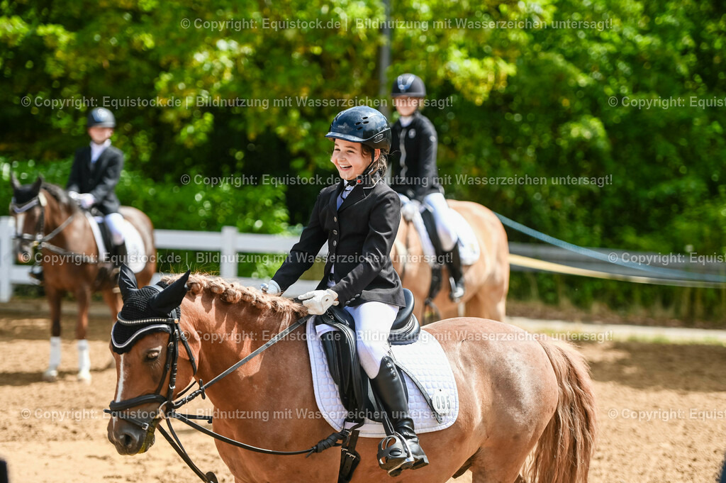 20230716_10-3_Reiter-WB Schritt - Trab - Galopp_0203 | equistock