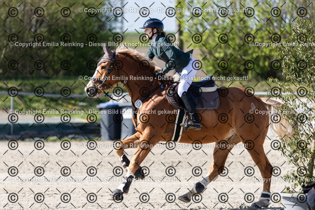 CL5A5915 | Emilia Reinking Fotografie - Realisiert mit Pictrs.com