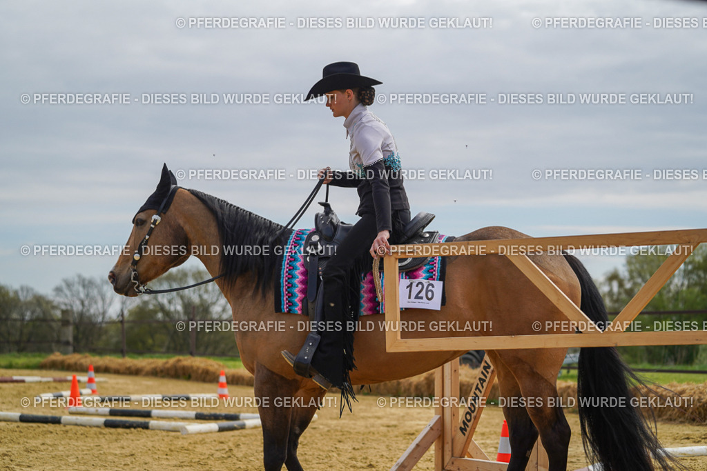 DSC03696 | Pferdegrafie