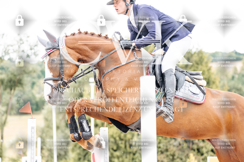 CK909441 | Turnierfotografie Pferdefotografie Trier Rheinland-Pfalz Pferdesport Reitsport Tierfotografie Sportfotografie Pferdevideo Pferdevideografie Equestrianvideography equestrianphotography  - Realisiert mit Pictrs.com