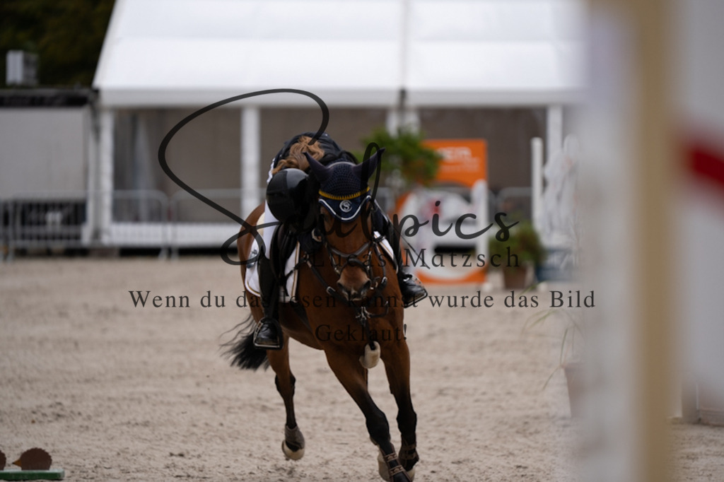 A7V01092 | Pferdefotograf