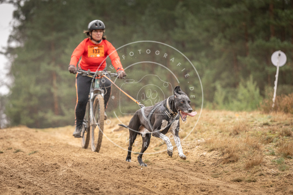 Pfotenfotografie_DV3A3788 | Hundefotografie, Tierfotograf, Pfotenfotografie, Fotoshooting Hund, Hunde Portrait, Hundesport, Hundeportraits, Heideshooting, Hunde, Sportfotograf, Hundefotograf, Turnierhundsport, THS,  - Realisiert mit Pictrs.com