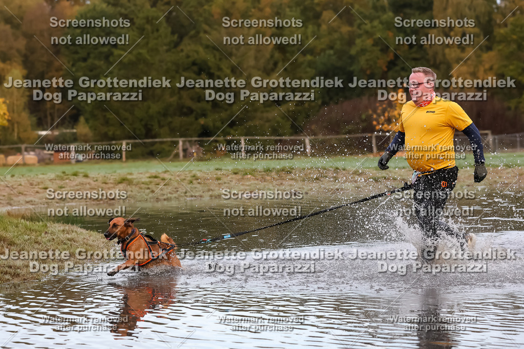 Dog Paparazzi - Strongdog 10-25-6407 | Dog Paparazzi Jeanette Grottendiek Fotografie & Videografie - Realisiert mit Pictrs.com