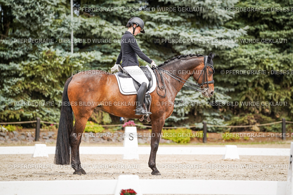 DSC05901 | Pferdegrafie