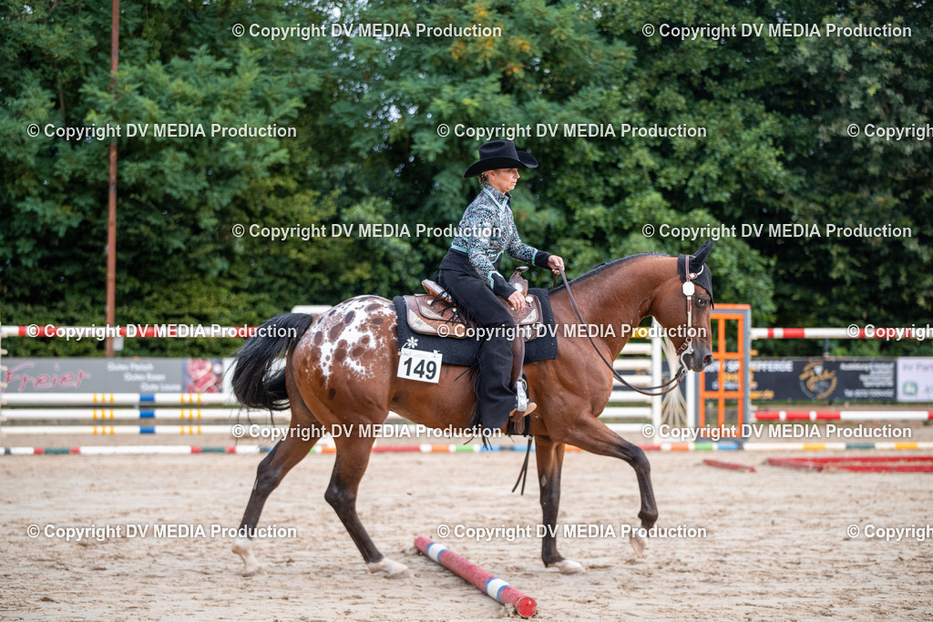 ZS3_4613 | dv-media-shop - Realisiert mit Pictrs.com