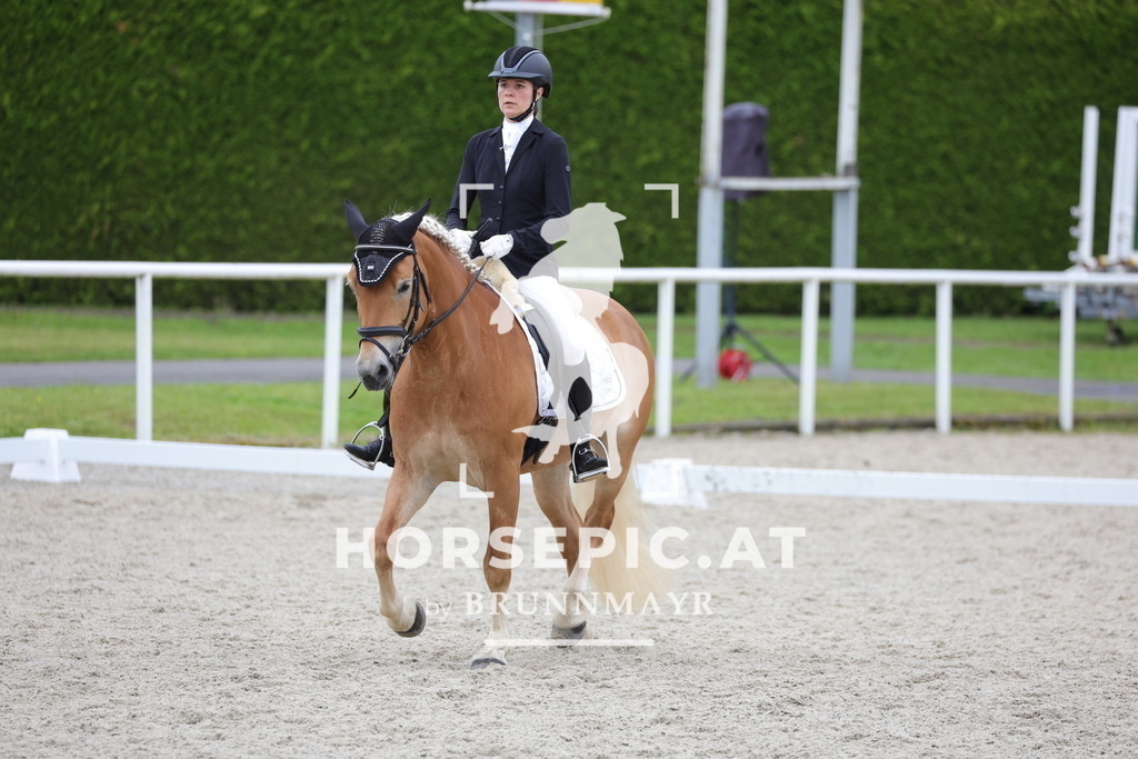 0P6A4416 | Willkommen bei Brunnmayr - Design & Fotografie – Ihrem Spezialisten für Reitturniere und Pferdeveranstaltungen in Oberösterreich, Salzburg und Bayern! Seit über 17 Jahren sind wir leidenschaftlich dabei.