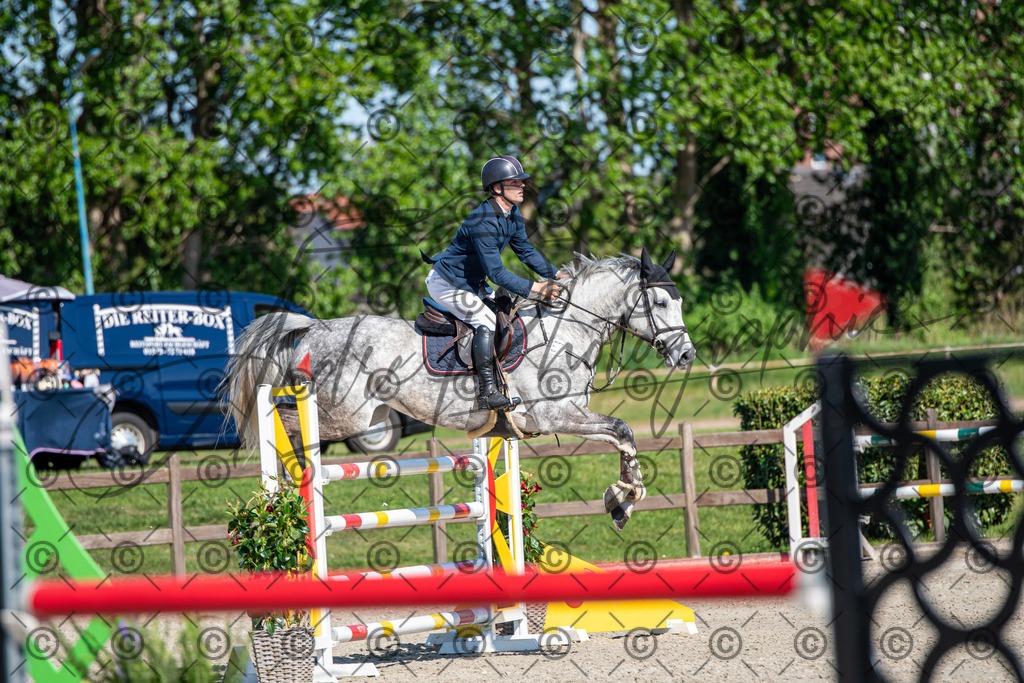 KPT_1595 | andre_photographic