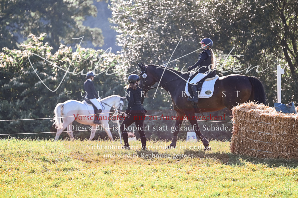 DSC_0241 | Pferde- und Turnierfotografie in Westsachsen. Pferdeportraits, Auftragszeichnungen und intuitive Kunst.