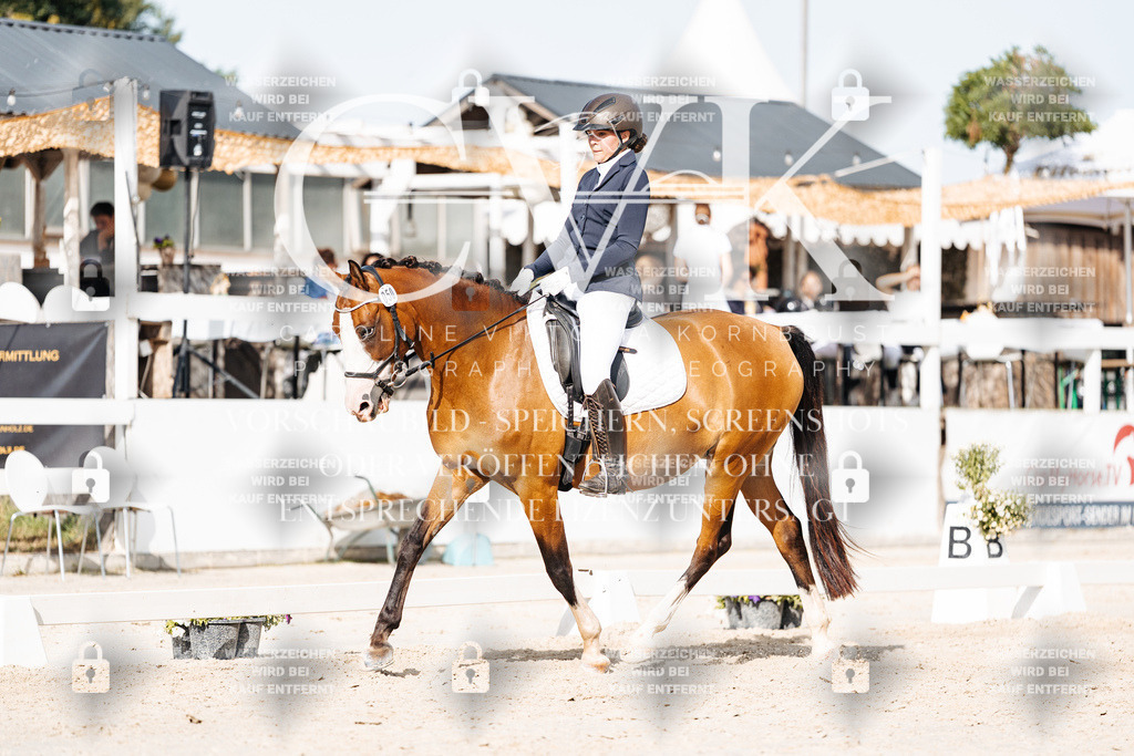 CK905419 | Turnierfotografie Pferdefotografie Trier Rheinland-Pfalz Pferdesport Reitsport Tierfotografie Sportfotografie Pferdevideo Pferdevideografie Equestrianvideography equestrianphotography  - Realisiert mit Pictrs.com