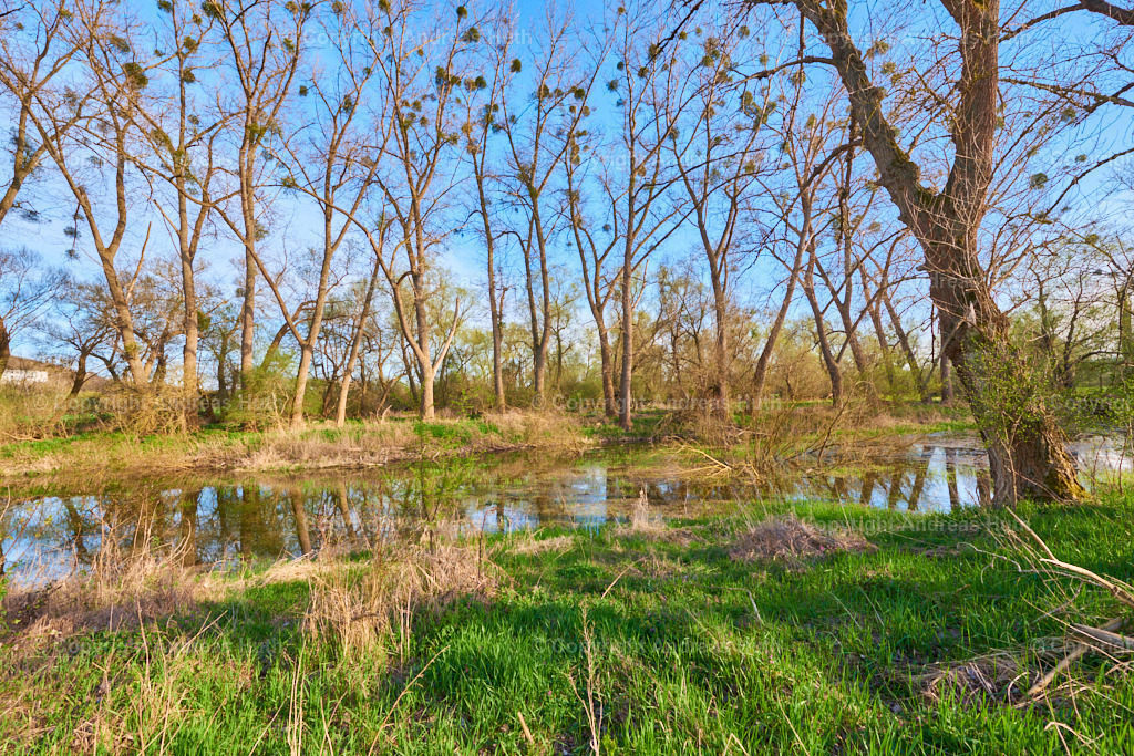 Am Altarm der Weißen Elster zwischen Bad Köstritz und Caaschwitz 05 | Bedeutsame Landschaften Deutschlands - Realisiert mit Pictrs.com