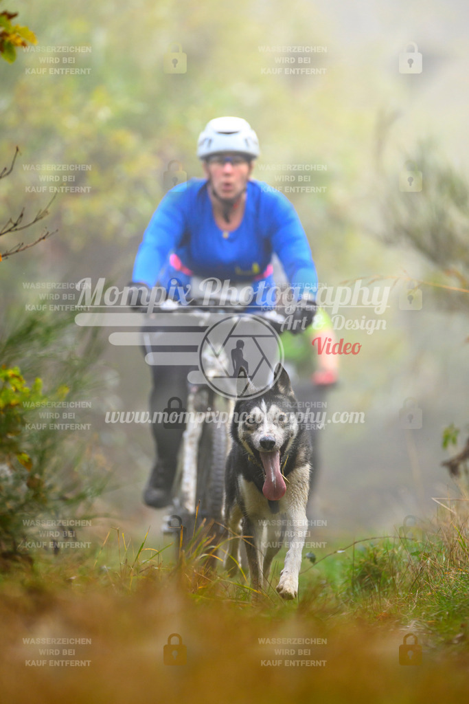 MompixPhotography_20TSB_E4_Bike-164 | PayLife