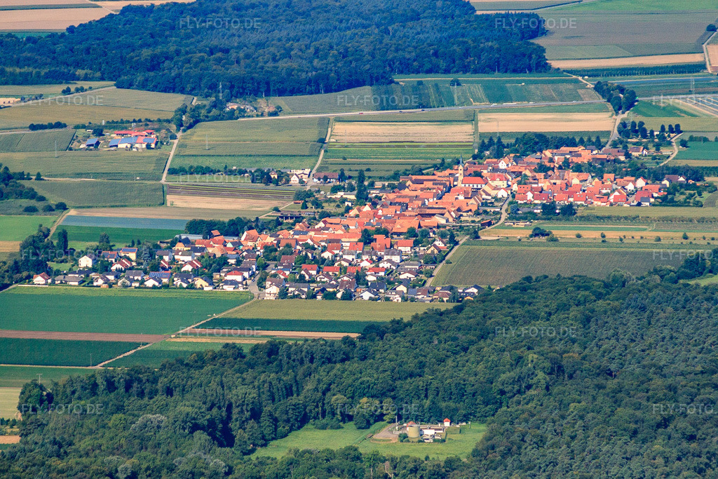 Luftbild: Ortsübersicht aus Osten in Erlenbach bei Kandel im Bundesland Rheinland-Pfalz in Deutschland. Foto: IMG_52336.jpg vom 19.08.2012 durch Werner Riehm/FLY-FOTO.de