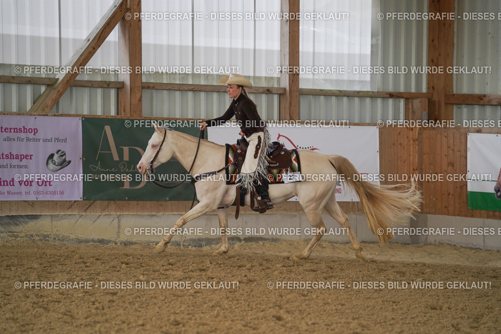 DSC00518 | Pferdegrafie