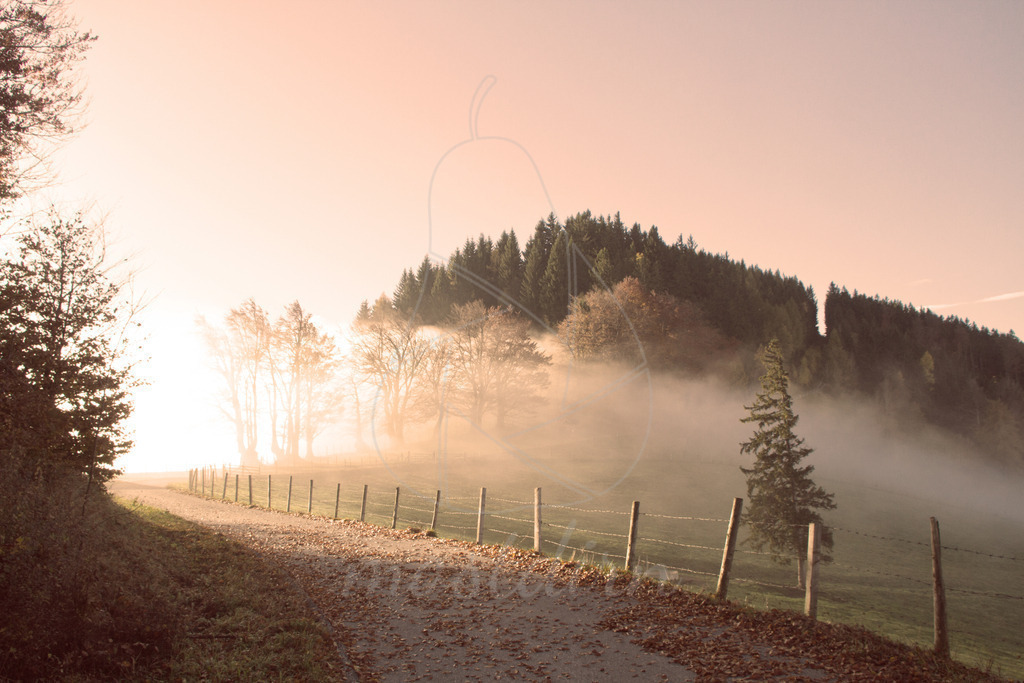 Herbst Franzenreith Grub | Bei Veröffentlichung des Bildes ist eine Namensnennung wie folgt erforderlich: 
Foto: Mostdirn Irmgard Wieser - Realisiert mit Pictrs.com