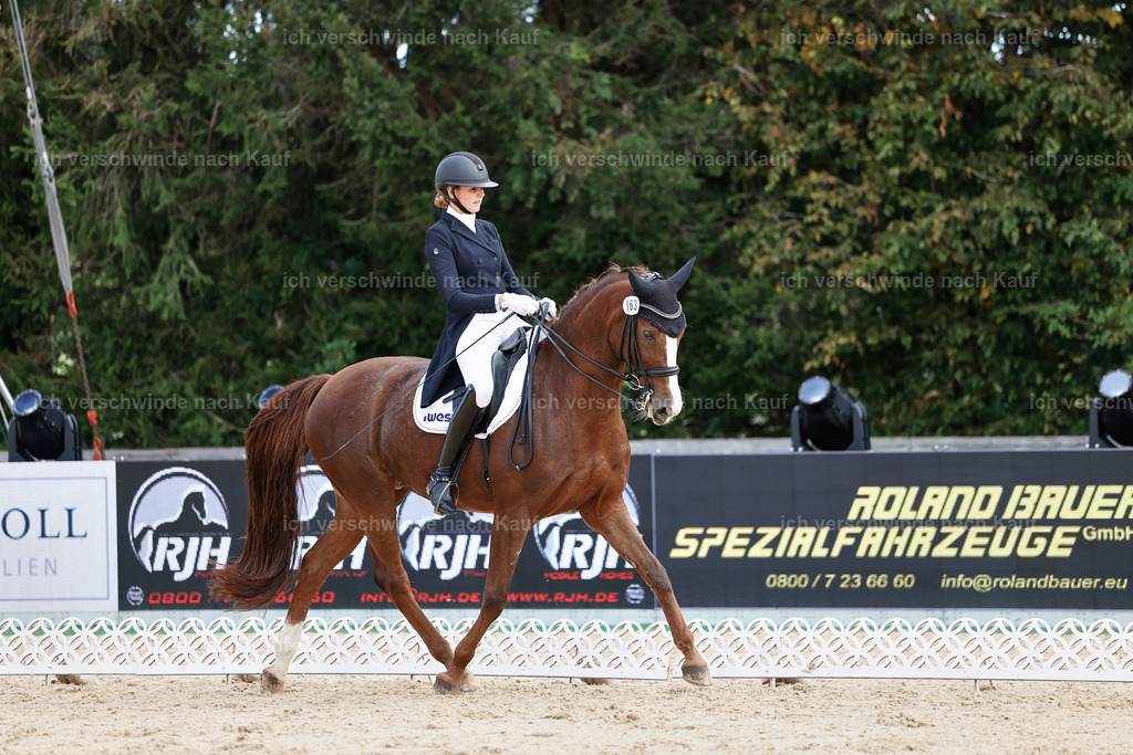 6-163-AMATUER-DRESSUR S_  -StoibPH-3472 | working equitationturnier fotograf videograf stoibphotography marixx film working equitation deutschland reitsport turnierfotografie eventfotografie equestrian events