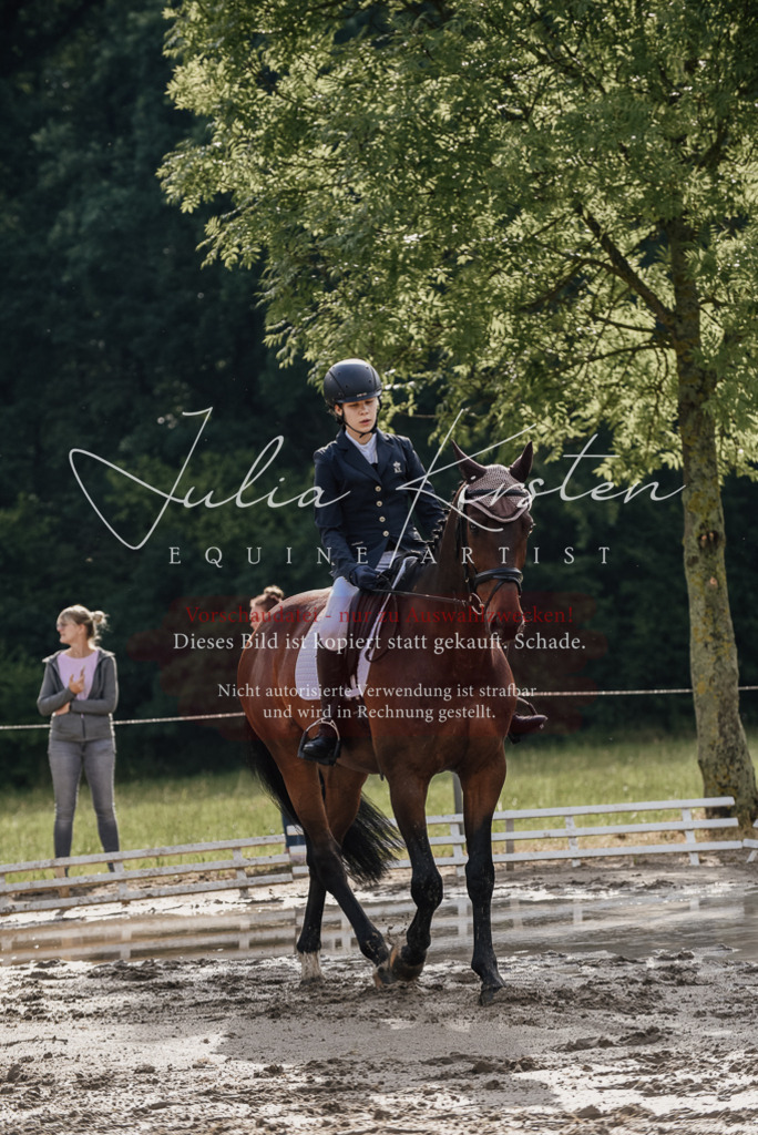 DSC_8542 | Pferde- und Turnierfotografie in Westsachsen. Pferdeportraits, Auftragszeichnungen und intuitive Kunst.