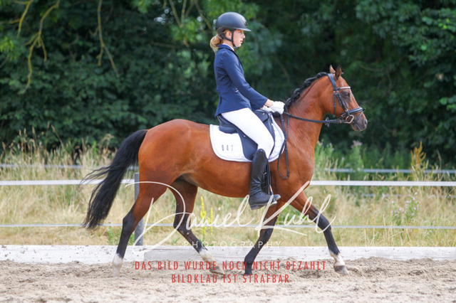 DKP46018 | Turniersportfotografie; Pferdefotografie; Dressurfotografie