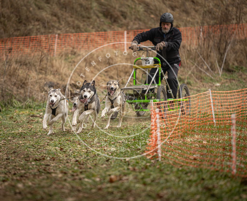 Pfotenfotografie_DV3A8351 | Hundefotografie, Tierfotograf, Pfotenfotografie, Fotoshooting Hund, Hunde Portrait, Hundesport, Hundeportraits, Heideshooting, Hunde, Sportfotograf, Hundefotograf, Turnierhundsport, THS,  - Realisiert mit Pictrs.com
