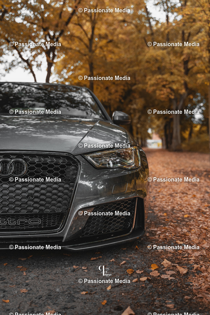 DSC07289 | Passionate Media, dein Fotograf aus Brandenburg, Märkisch Oderland, im Bereich Motorsport, Autos und Motorräder sowie Events und auch Hunde. Shootings oder auch Eventbegleitungen können bei mir gebucht we