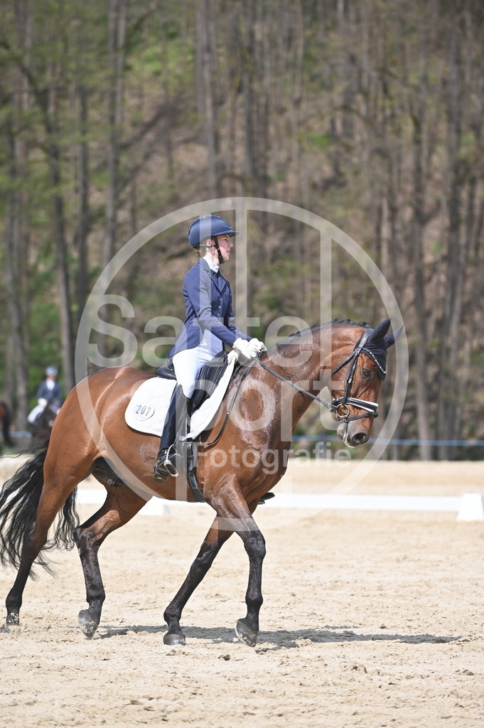 DSC_2135 | sattelsport - Realisiert mit Pictrs.com