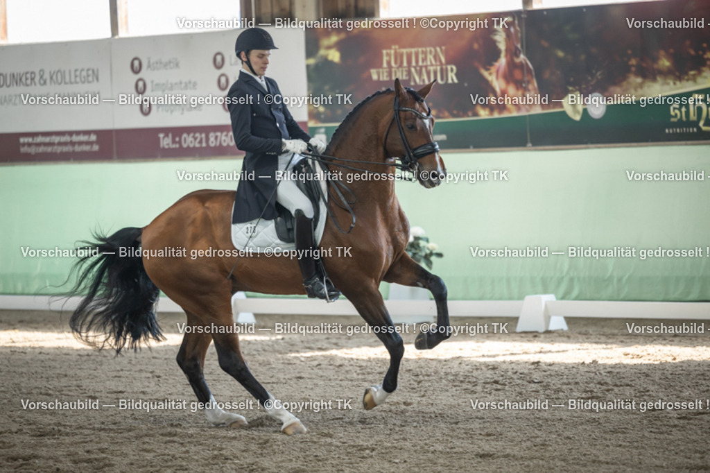 _D5A9762 | Emotionale Pferde- & People-Fotografie rund um Heidelberg, Leimen & Umgebung. Natürliche Fotos von Pferd, Mensch & Familie. Jetzt Termin sichern!