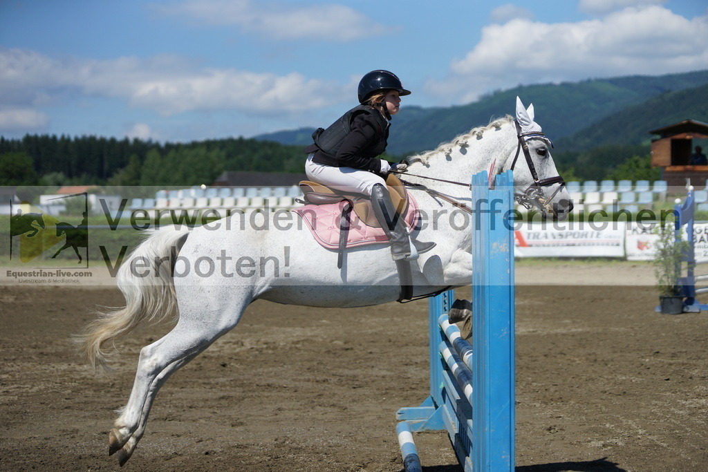 DSC05967 | equestrian-live-com