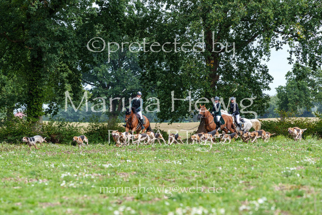 Jagd Perdoel 26 Sony-03607_MarinaHewig | Fotografie, FotoArt, PferdesportArt, Pferdesportfotografie, Landschaftsfotografie, Reisefotografie, Reise, Pferde - Realisiert mit Pictrs.com