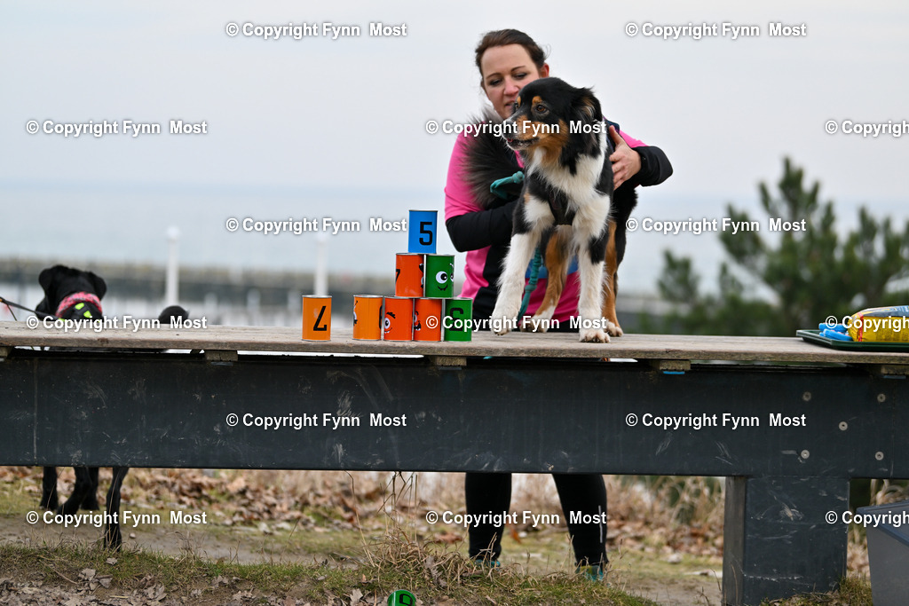 DSC_2351 | Hallo und herzlich Willkommen auf meiner Shop-Seite Fynn Most.

Ich wünsche Dir viel Spaß beim stöbern durch die Bilder, wenn Du Fragen hast oder Bilder vermisst, kannst du mir gerne eine Nachricht schreiben. - Realisiert mit Pictrs.com