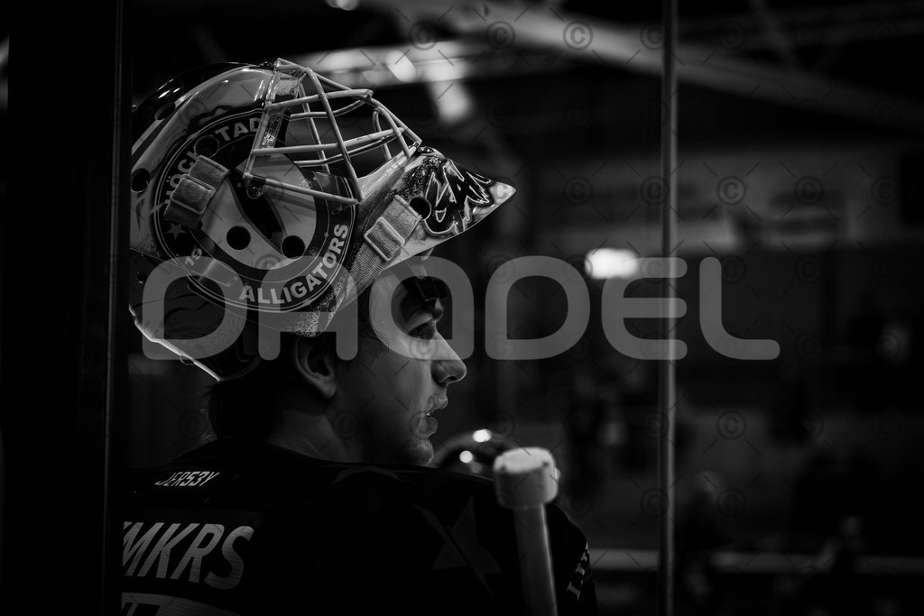 Alligators_vs_Erding_12_12_2025-021 | Höchstadt Alligators Fotogalerie: Eishockey-Action aus Franken. Professionelle Spielfotos, Portraits & Stadionbilder zum Download. Jetzt entdecken! - Realisiert mit Pictrs.com