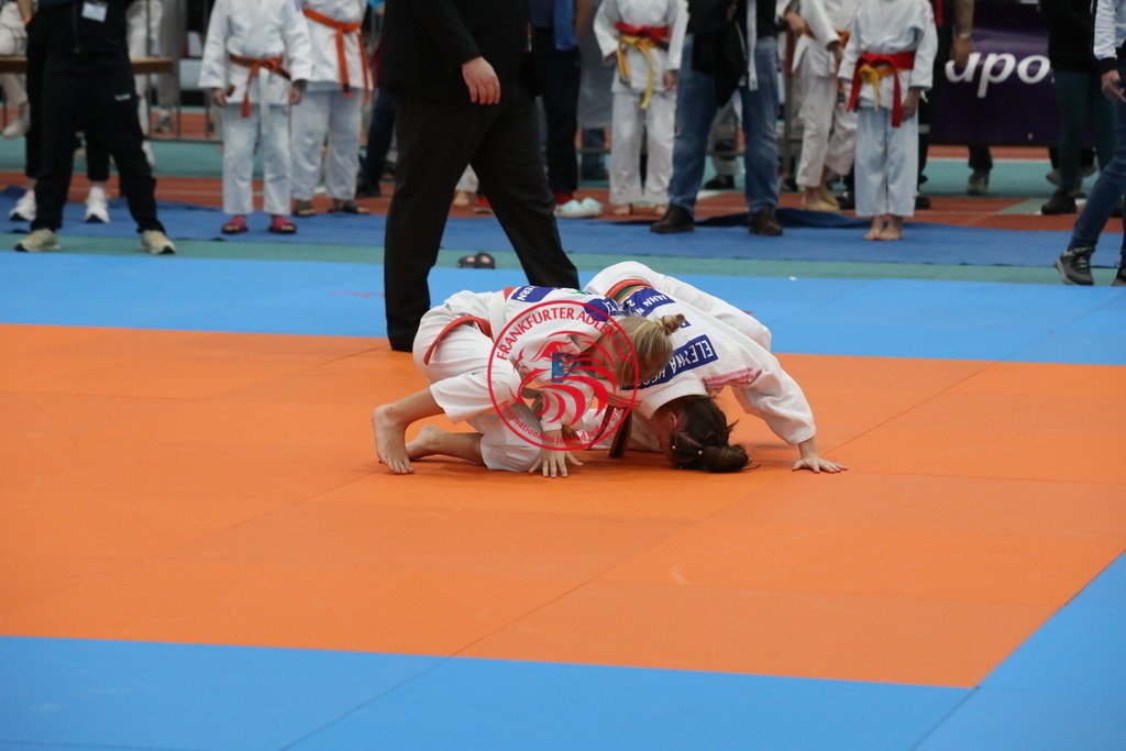 1J7A1500 | Fotos vom Adler Cup - Pictures from Adler Cup

Hier findet Ihr alle Eindrücke und großen Momente der Adler Cup Wochenenden. Here you will find all impressions and great moments of the Adler Cup weekends. - Realisiert mit Pictrs.com