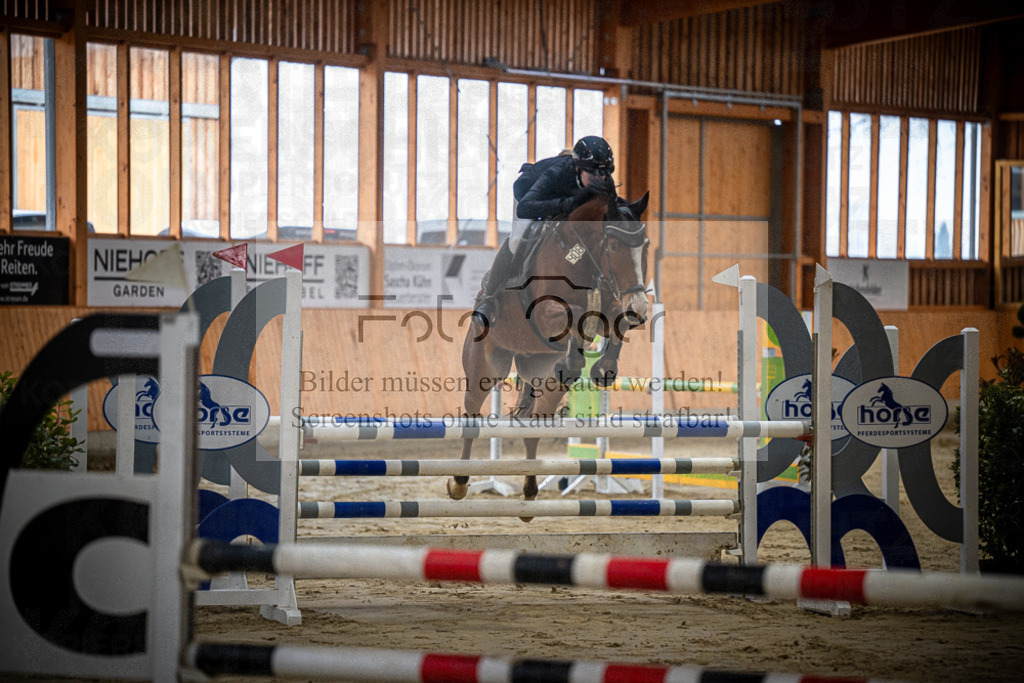 DOS_0262 | Entdecke hochwertige Reitturnierfotos von Foto Oger. Professionell, emotional und authentisch – jetzt Lieblingsmomente im Shop bestellen.Deutschlandweite Turnierfotografie. - Realisiert mit Pictrs.com