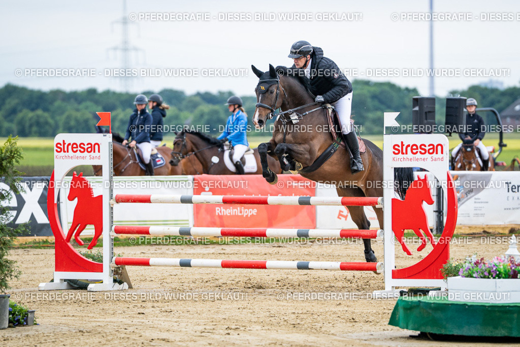 DSC04647 | Pferdegrafie