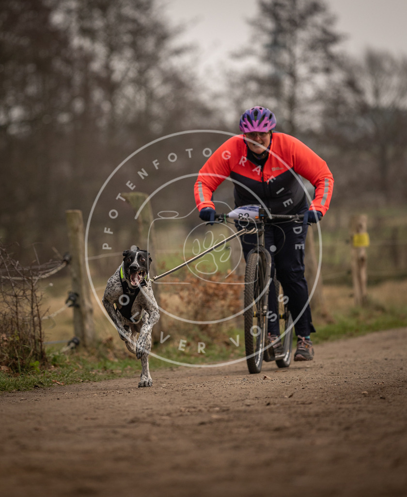 Pfotenfotografie_DV3A3972 | Hundefotografie, Tierfotograf, Pfotenfotografie, Fotoshooting Hund, Hunde Portrait, Hundesport, Hundeportraits, Heideshooting, Hunde, Sportfotograf, Hundefotograf, Turnierhundsport, THS,  - Realisiert mit Pictrs.com