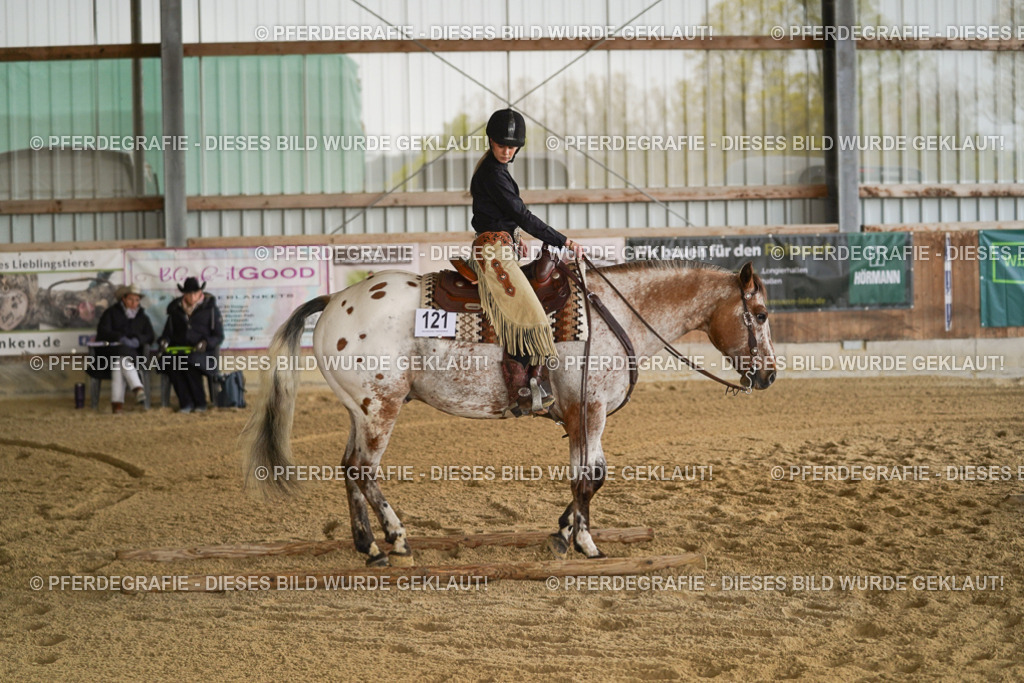 DSC06390 | Pferdegrafie