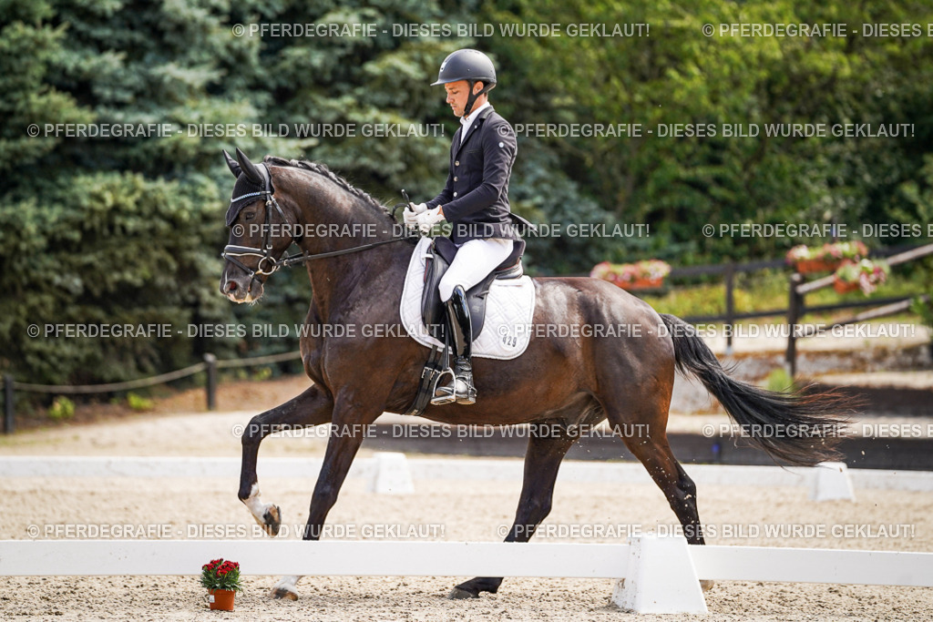 DSC00146 | Pferdegrafie