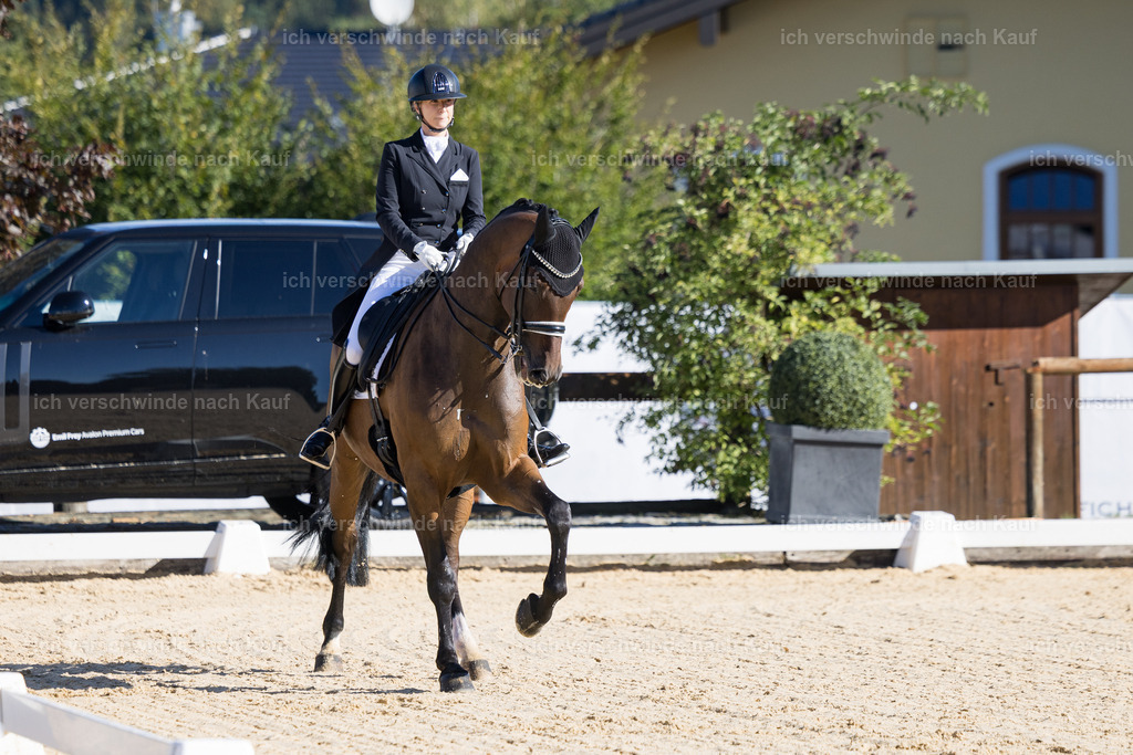 FHC2026_P07_150_17291 | working equitationturnier fotograf videograf stoibphotography marixx film working equitation deutschland reitsport turnierfotografie eventfotografie equestrian events