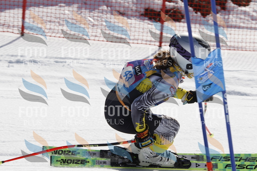 _U3G9280 | holidayphoto