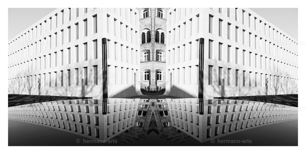 Hermann-Arts_Spiegelbilder_078 | Photo Foto Kunst Art schwarzweiss Bilder Rheine Münster Berlin Blumen 