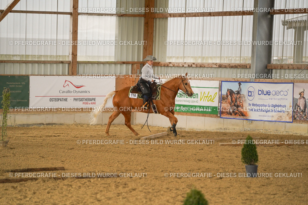 DSC02535 | Pferdegrafie