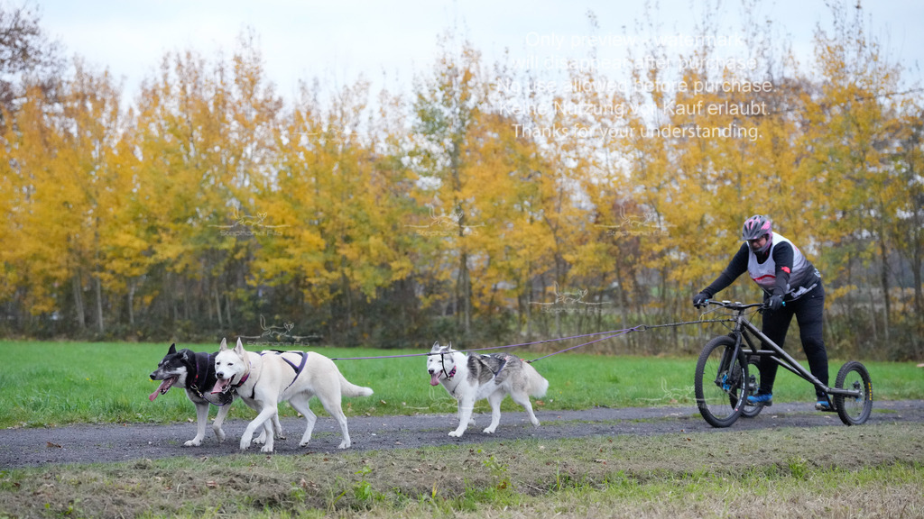 Visbeck_Sa_D4_6-43 | stephaniefillaphotographie - Realisiert mit Pictrs.com