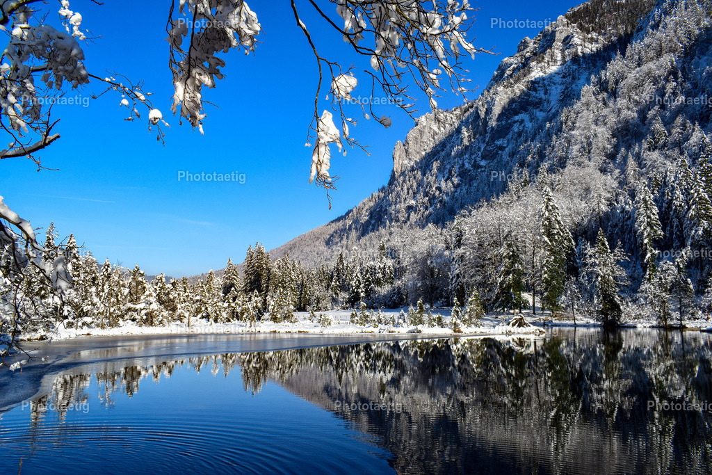 IMG_6852 | phototaetig