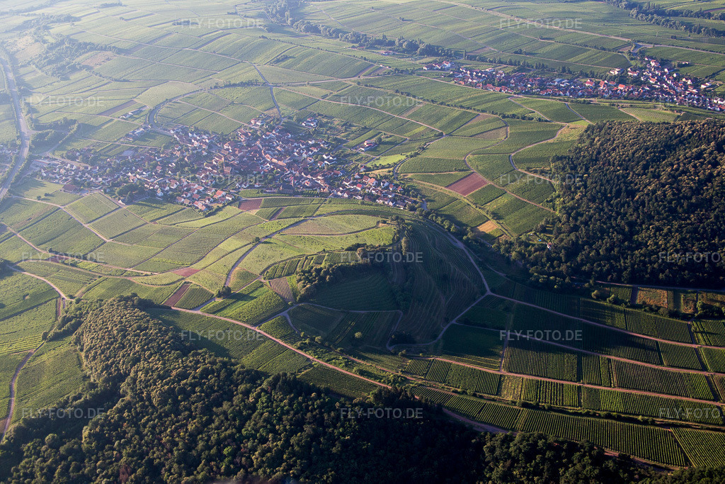 Luftbild: Ortsansicht in Birkweiler im Bundesland Rheinland-Pfalz in Deutschland. Foto: IMG_091609.jpg vom 10.07.2016 durch Werner Riehm/FLY-FOTO.de