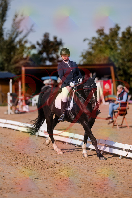 2026_10_03_Siefer-Hof_113745_Z81_81330275 | Professionelle Reitsport-, Turnier- und Eventfotografie von Robert Broda. Galerien mit ausgewählten und bearbeiteten Bildern direkt online ansehen und bestellen.