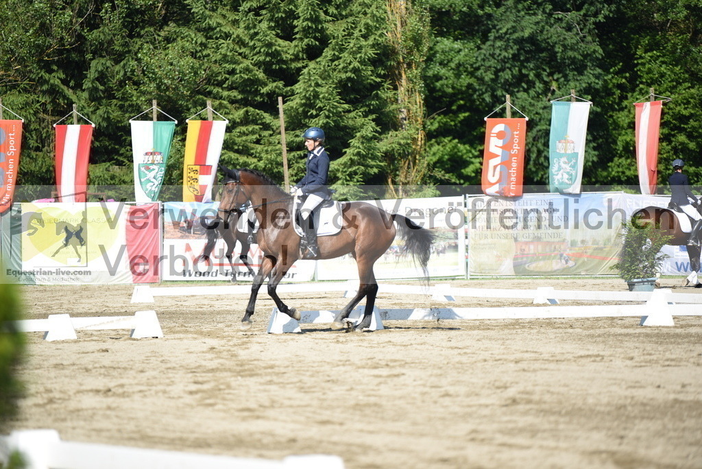 DSC_7447 | equestrian-live-com