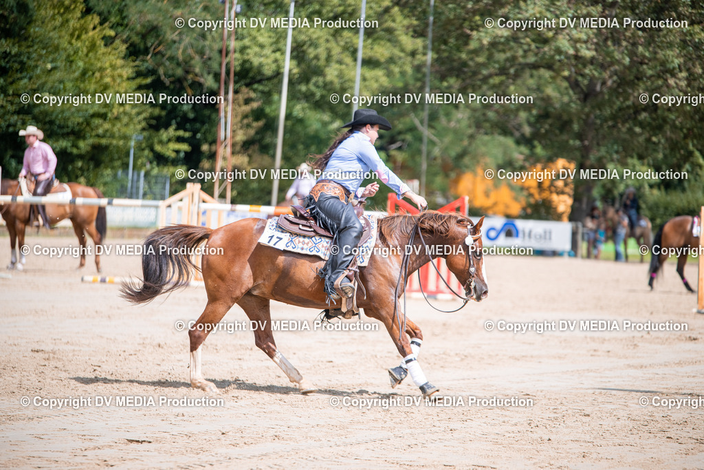 ZS3_5260 | dv-media-shop - Realisiert mit Pictrs.com